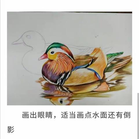 2022春常州老年大学彩铅画