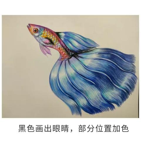 常州老年大学彩铅画2021秋
