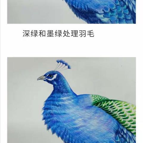 2022春常州老年大学彩铅画课程
