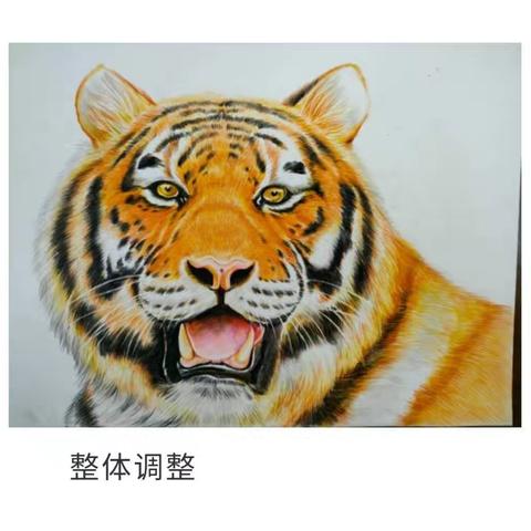 常州老年大学彩铅画2021秋