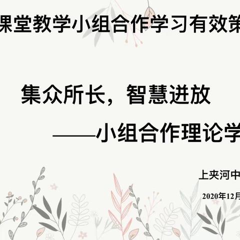 集众所长，智慧迸放——小组合作理论学习活动