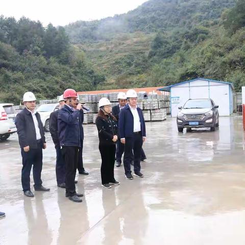 中铁开发投资集团总经理陈安慧一行到瓮开Ⅱ标检查指导工作