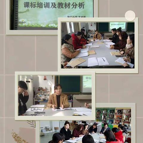 解读教材，绽放魅力——东门小学教师成长计划之艺术学科课标培训及教材分析