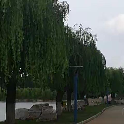 成长的路上，你我并肩同行