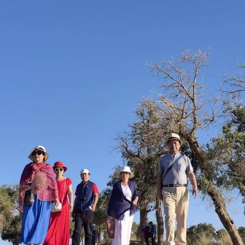 额济纳之旅