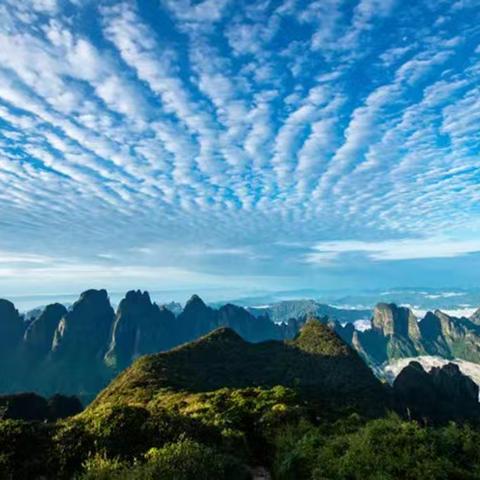 大瑶山游记(三).圣堂杜鹃约，云海待君来