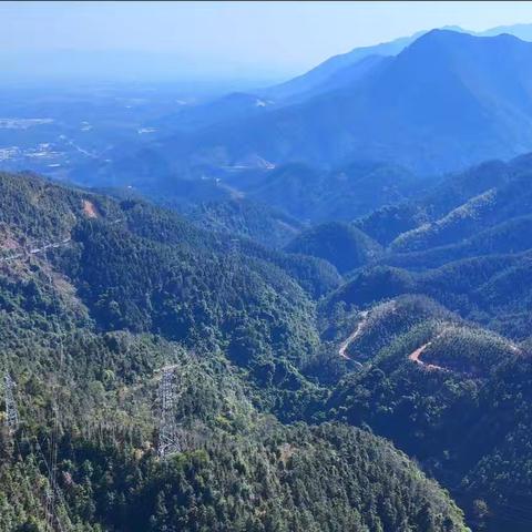 文字的根，不在算法里