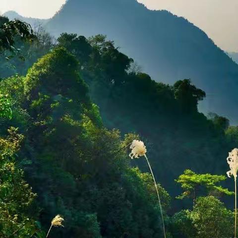 洛清江畔，一场学渣秀才的逆袭梦