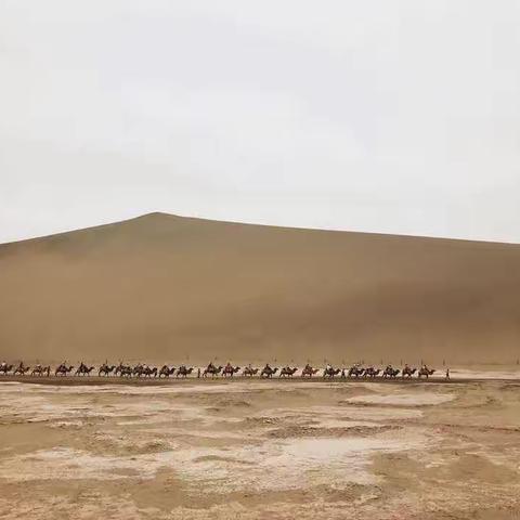 作业汇总折琮凯01604075