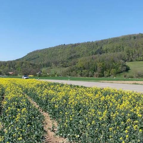 跟随初夏云游瑞士乡村——吕芬纳赫