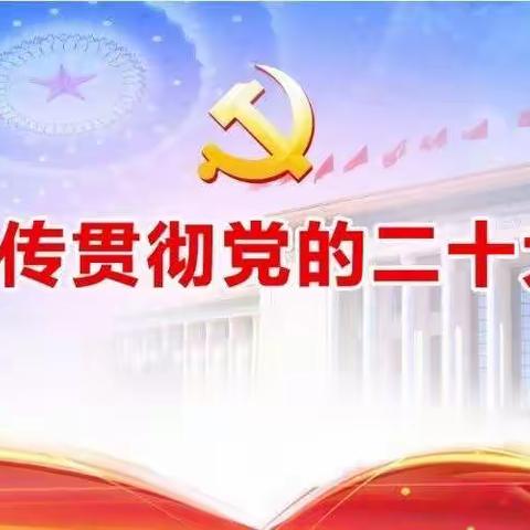 踔厉奋发 勇毅前行   ﻿以实际行动落实党的二十大精神