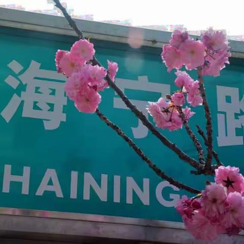 西方的建筑东方的花各美其美美美与共