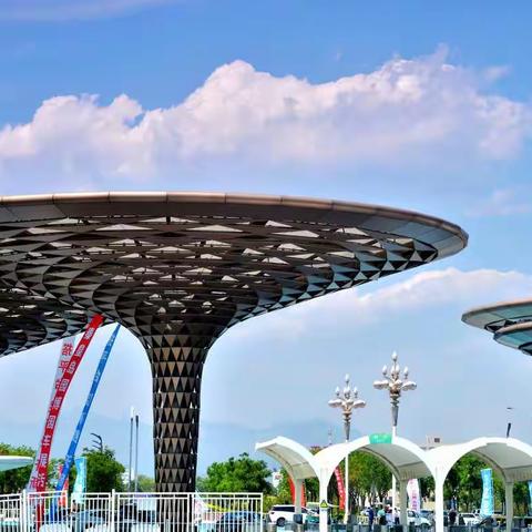 园博园一日游——月季花开