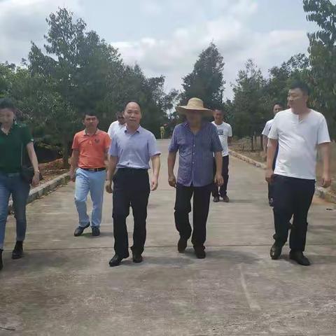 院党委书记、院长张治礼到院果树所科研示范基地调研