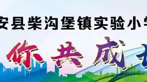 文采飞扬 笔墨生香——柴沟堡镇实验小学现场                         作文比赛