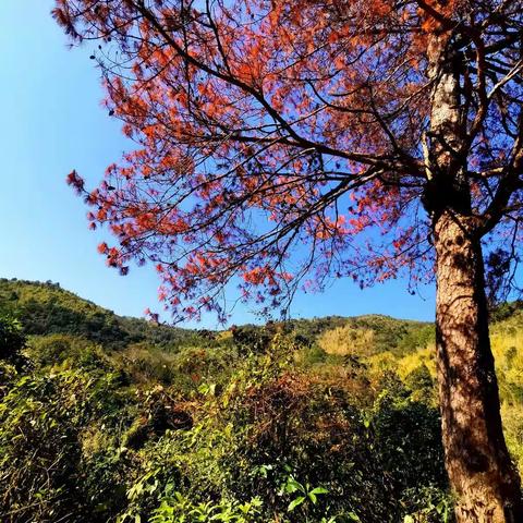 深山里的田湖村