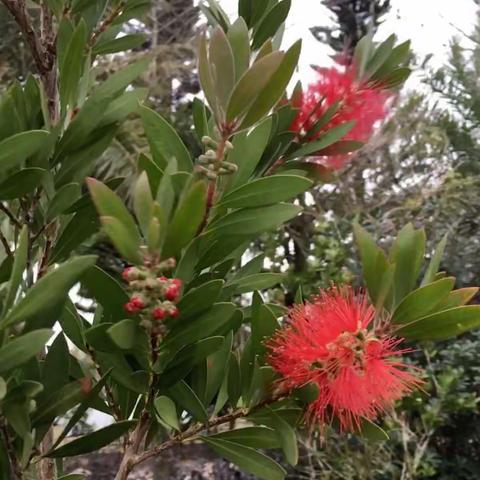 2019年海南旅游（二）