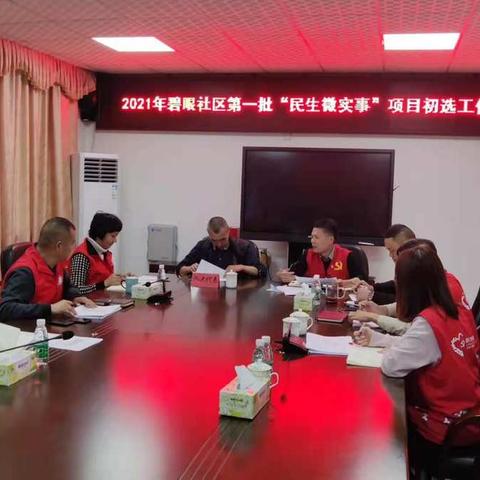 碧眼社区开展2021年碧眼社区第一批“民生微实事”项目初选工作会议