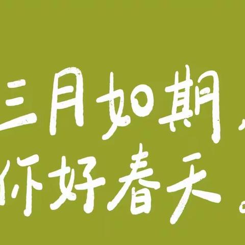 嘉宝贝幼儿园婴班三月末汇报展示