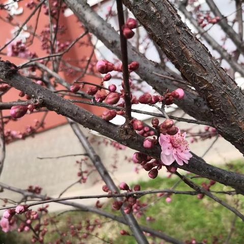 三月，你好！一一九3班班级简报