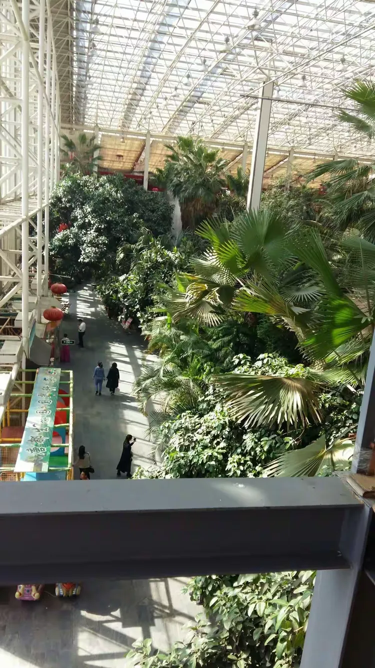 北大荒唐都生态园