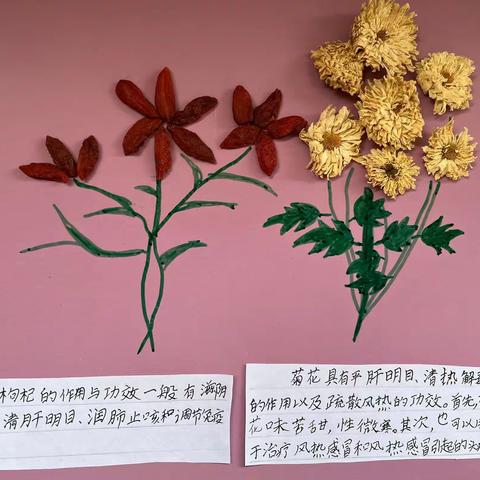 【精彩天王】寻找身边的中药材——五年级特色活动纪实