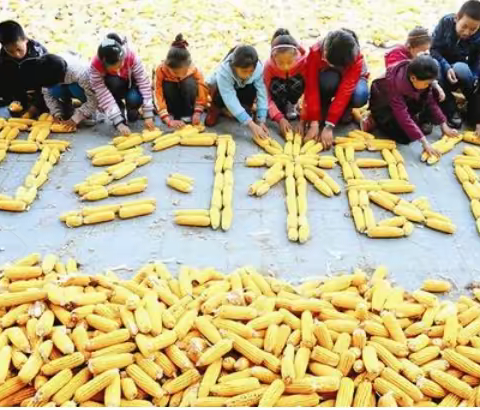 “节约粮食 从我做起”！长安区第一民办中学倡议书
