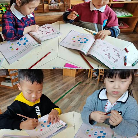 淡思幼稚园菠萝宝贝快乐成长录（十四）