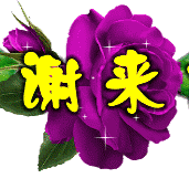 【A繁星闪烁】特刊 006 号