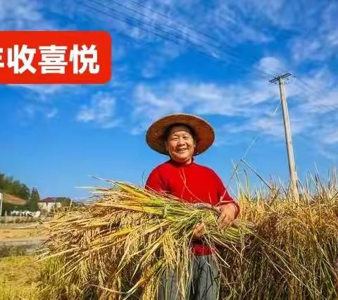 【A繁星闪烁】精品第 9 期特刊 ‖ 听报告 发感慨 ‖ 疫情防控感慨 ‖问好篇精选