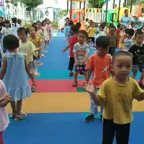 小博士幼儿园中二班