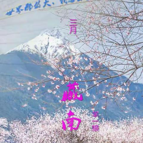 世界这么大，我想去看看