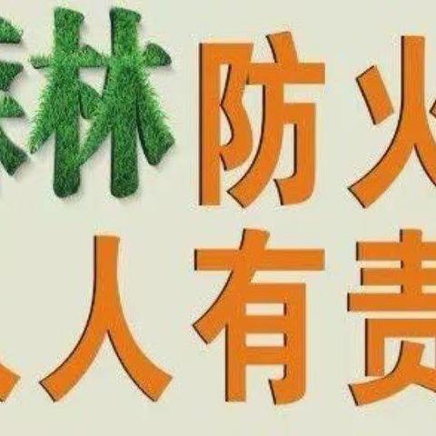 【平安校园】关注森林消防 共建美好家园——荣昌幼儿园森林防火知识宣传