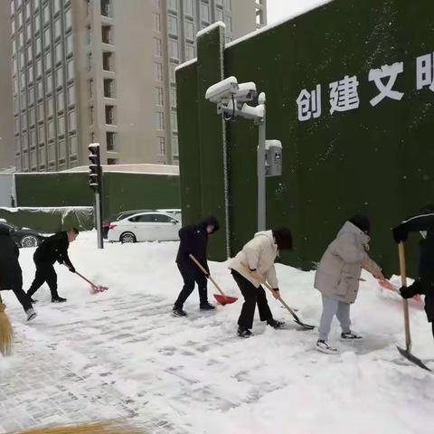 疾控人的辛勤汗水在寒冬挥洒，疾控人的别样青春在雪中闪光
