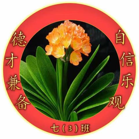 舞钢市新时代国际学校七（3）班第十一周班级简报——校荣我荣，为学校自豪。