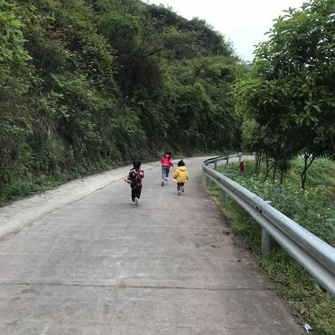 陈炫伊的踏青之旅