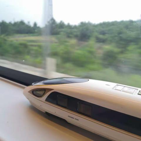 7.27苏州之行第七天