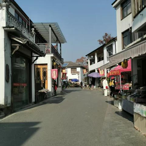 指南秋色：一场未如期而至的视觉盛宴