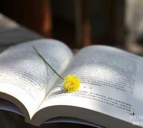 红星学校开展《点燃读书激情 营造书香校园》主题读书节