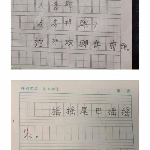 小小作家展示台，仿写《谁会飞》