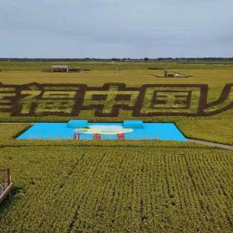 慢步《红海滩》