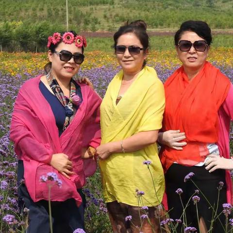 美篇《观赏千亩花园》