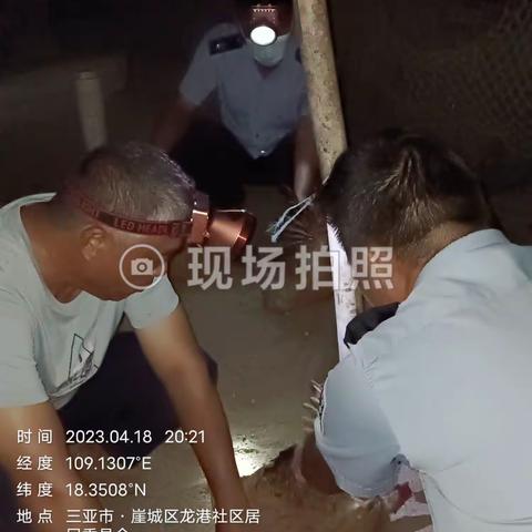 2023.4.18三亚市崖州区农业农村局保港片区防疫员的工作情况。