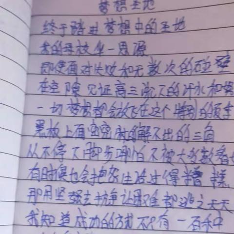 王海叶高三六音乐素养