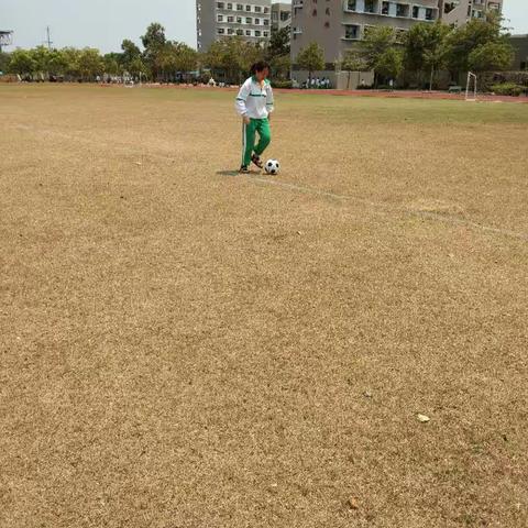 高二六王海叶身心健康