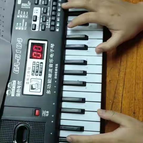 高二六王海叶班音乐素养