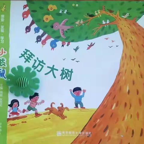 【二幼主题汇报】“拜访大树”——崇礼二幼中班组主题汇报