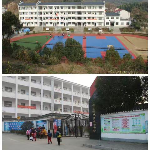 建设温馨校园   助力师生成长   ——柳林乡中心小学