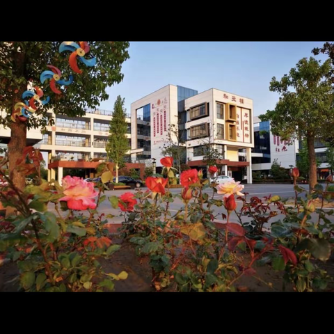 【和合四十中.劳动篇】——不负好时光 劳动正当时 记临沂第四十中学2015级一级部