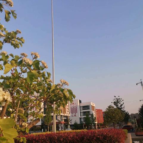 “疫情防控，不松懈”——四十中小学部五年级一级部防疫工作部署会议